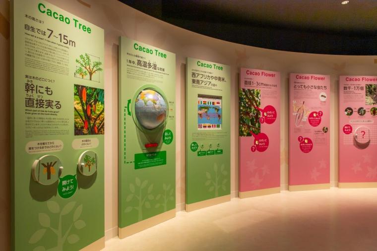 ロイズカカオ＆チョコレートタウン