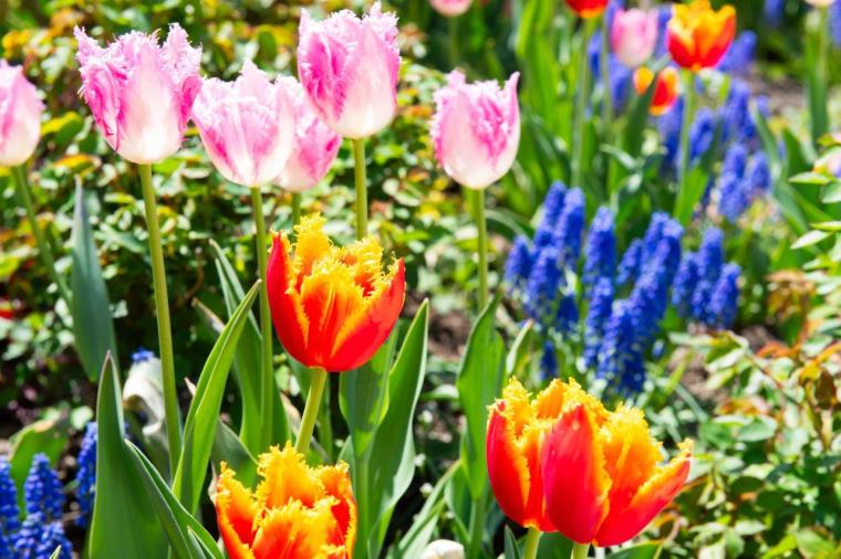 ロイズカカオ＆チョコレートタウン