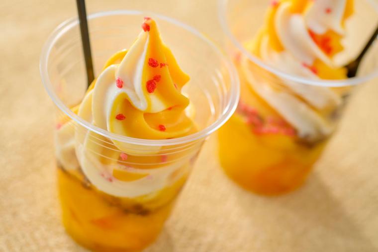 びしょ濡れディズニー