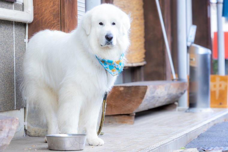 戸倉上山田温泉