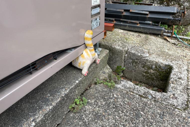 井波の木彫り猫