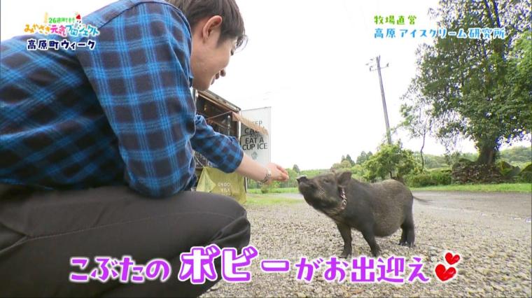 みやざき元気プロジェクト 高原町ウィーク（2024年04月27日放送）