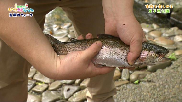 みやざき元気プロジェクト 高原町ウィーク（2024年04月27日放送）