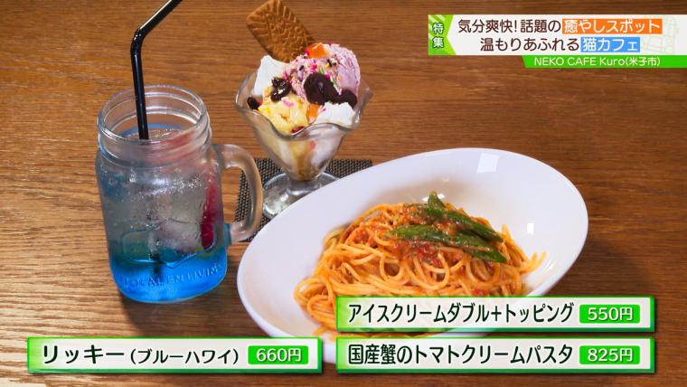 皆生温泉街にある保護猫カフェ「Kuro」11匹の猫に囲まれる癒しの時間が過ごせた｜米子市