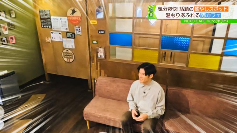 皆生温泉街にある保護猫カフェ「Kuro」11匹の猫に囲まれる癒しの時間が過ごせた｜米子市