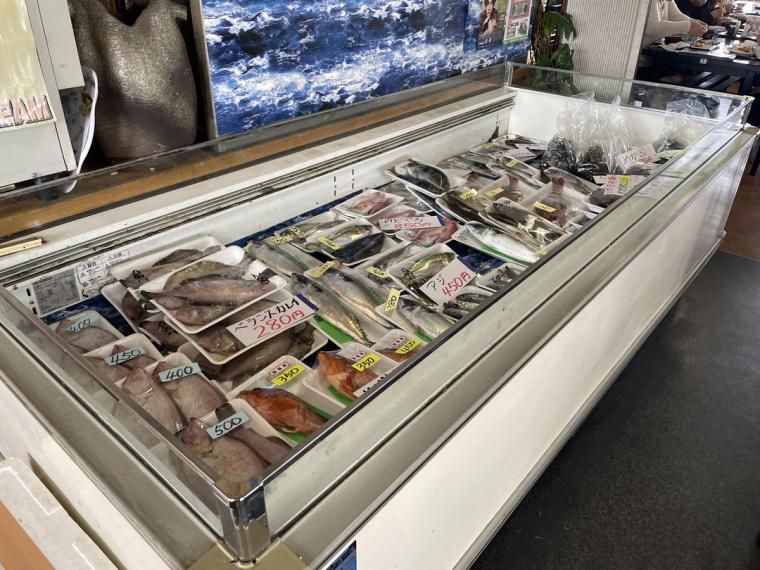 幻のエビ「もさえび」が盛られた海鮮丼！ボリューム満点の海鮮丼が味わえる行列のできる食堂｜鳥取県琴浦町