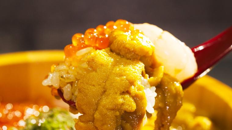 【新店】境港ならではのフォトジェニック海鮮丼！水木しげるロードで「輝く海鮮」に舌鼓｜境港市