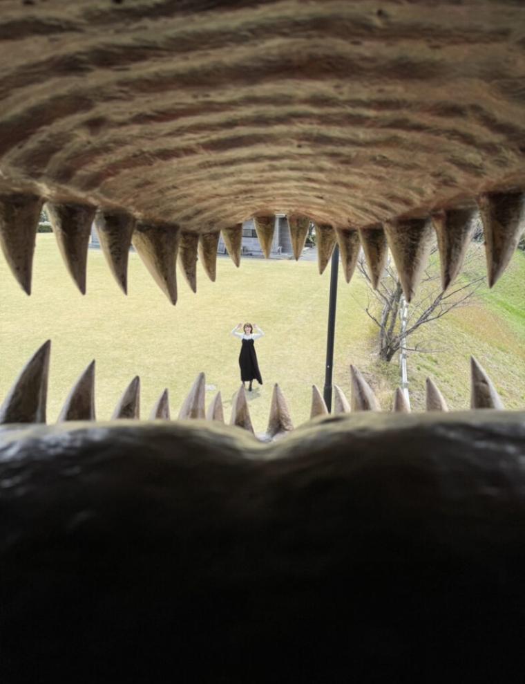 海に囲まれた絶景でプレー！初心者も楽しめるグラウンドゴルフに初挑戦！｜鳥取県湯梨浜町