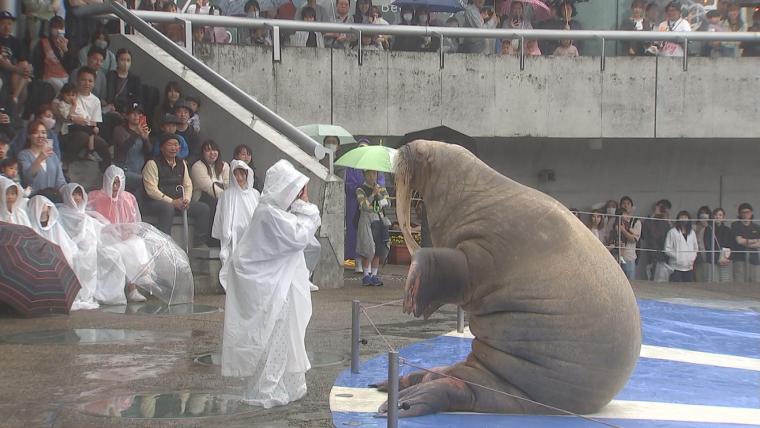 最大10連休のGW　大分県内で最もにぎわった観光施設は　ランキングで上位5位紹介