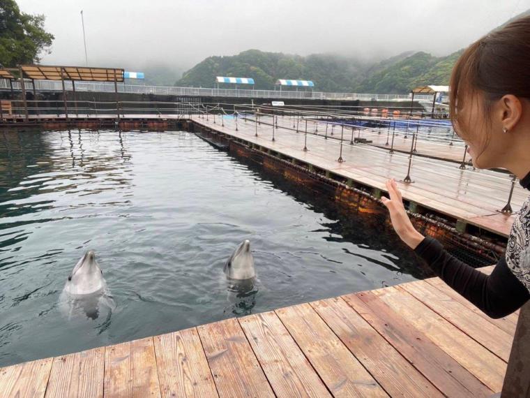 初挑戦「イルカと泳ぐ」迷っている人も一度は体験をおすすめ