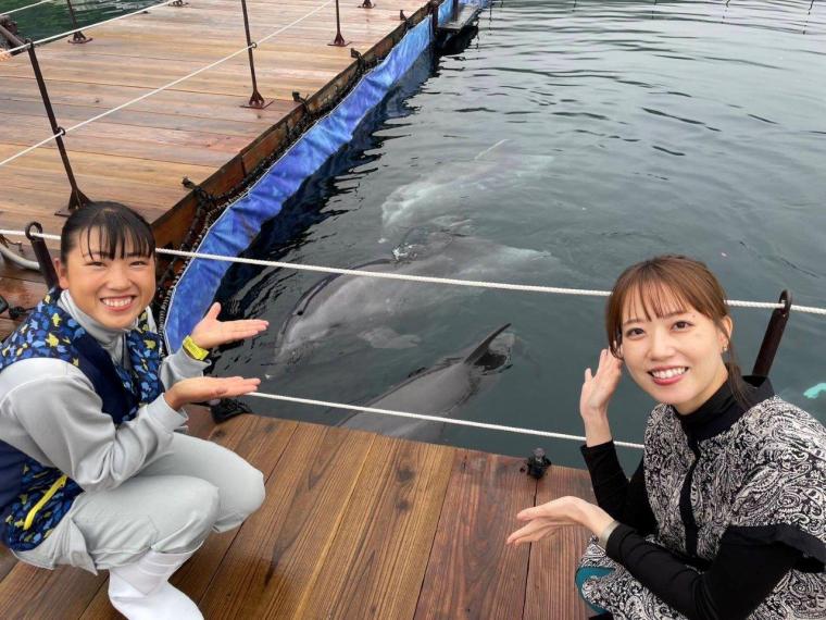 初挑戦「イルカと泳ぐ」迷っている人も一度は体験をおすすめ