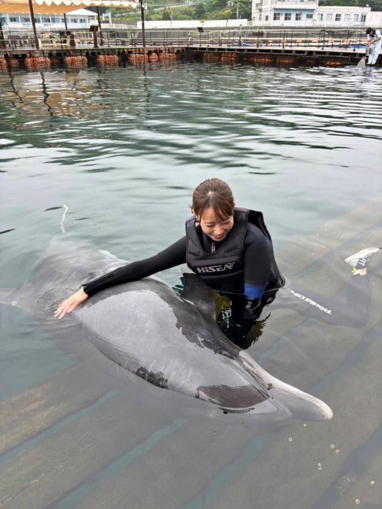 初挑戦「イルカと泳ぐ」迷っている人も一度は体験をおすすめ