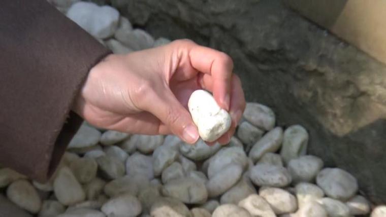 【静岡県掛川市・事任八幡宮】願いが叶う不思議な石! 長い階段を乗り越えた先にある言い伝えとは