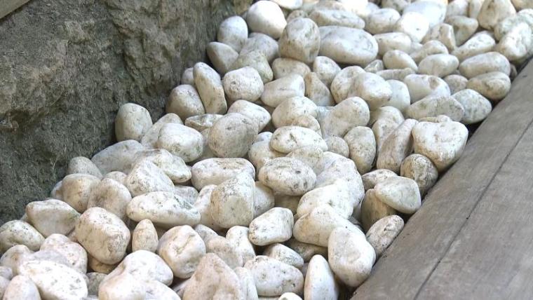 【静岡県掛川市・事任八幡宮】願いが叶う不思議な石! 長い階段を乗り越えた先にある言い伝えとは