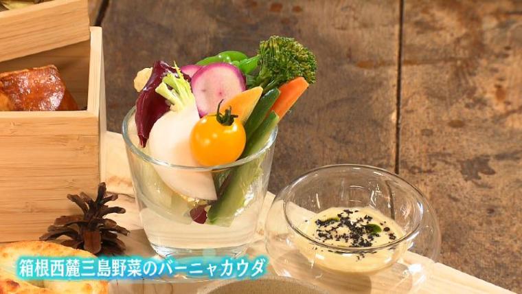 【沼津・インザパーク】球体テントで有名な公園の裏の顔?!　“ヌン活男女”が高評価