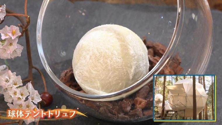 【沼津・インザパーク】球体テントで有名な公園の裏の顔?!　“ヌン活男女”が高評価