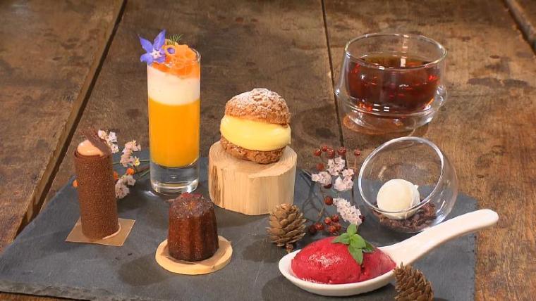 【沼津・インザパーク】球体テントで有名な公園の裏の顔?!　“ヌン活男女”が高評価