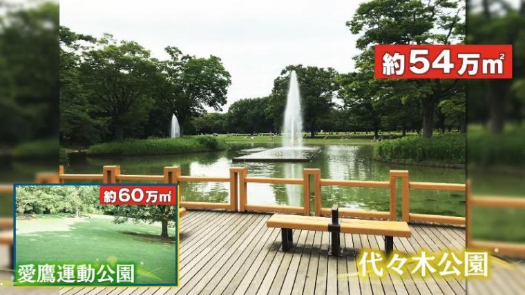 【沼津・インザパーク】球体テントで有名な公園の裏の顔?!　“ヌン活男女”が高評価