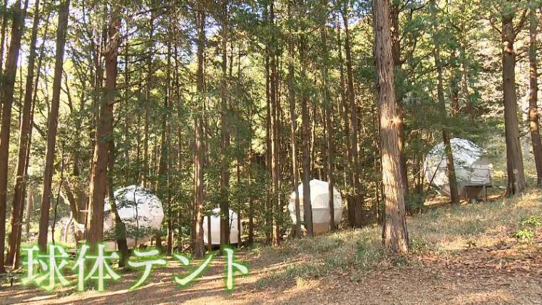 【沼津・インザパーク】球体テントで有名な公園の裏の顔?!　“ヌン活男女”が高評価