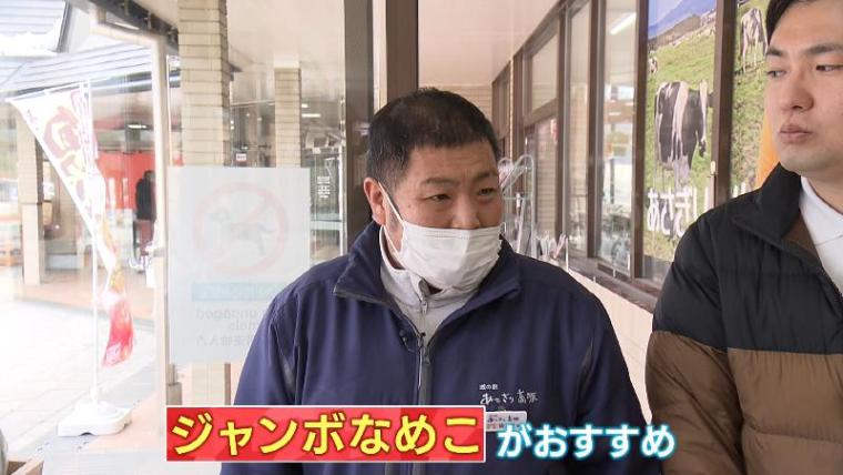 【静岡県富士宮市・朝霧高原】巨大なめこに仰天するよ! 静岡県内人気ナンバーワン道の駅を調査