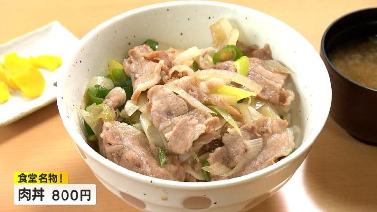 【静岡県富士宮市・朝霧高原】巨大なめこに仰天するよ! 静岡県内人気ナンバーワン道の駅を調査