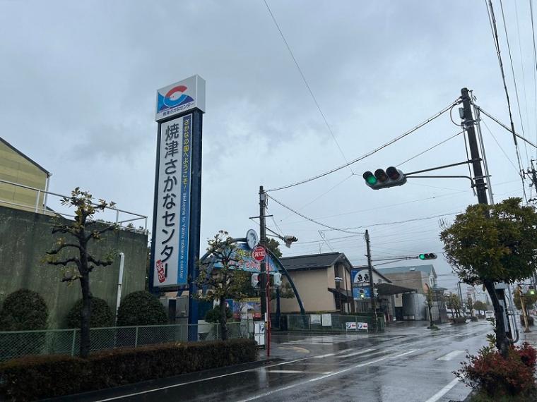 【焼津・焼津さかなセンター】魚市場にポップコーン店登場?! 魚のまちに新風～新間いずみ1万円ひとり旅～