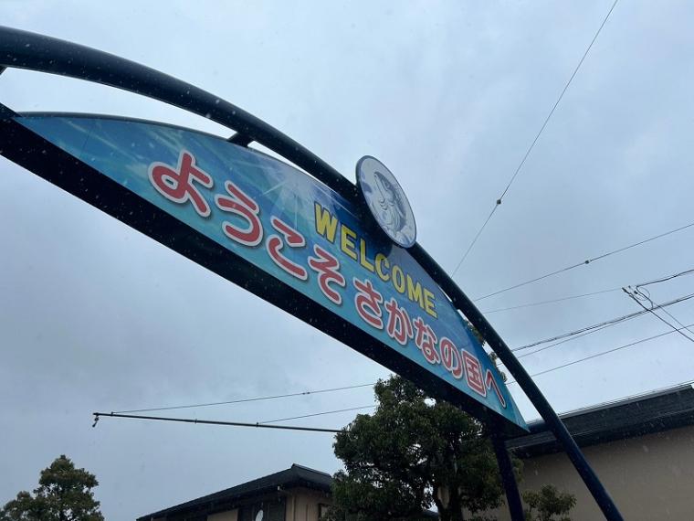 【焼津・焼津さかなセンター】魚市場にポップコーン店登場?! 魚のまちに新風～新間いずみ1万円ひとり旅～