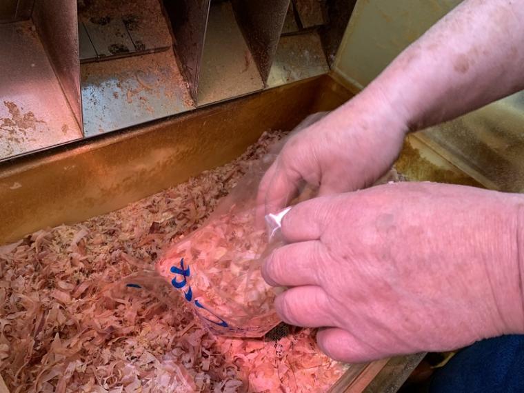 【焼津・焼津さかなセンター】魚市場にポップコーン店登場?! 魚のまちに新風～新間いずみ1万円ひとり旅～