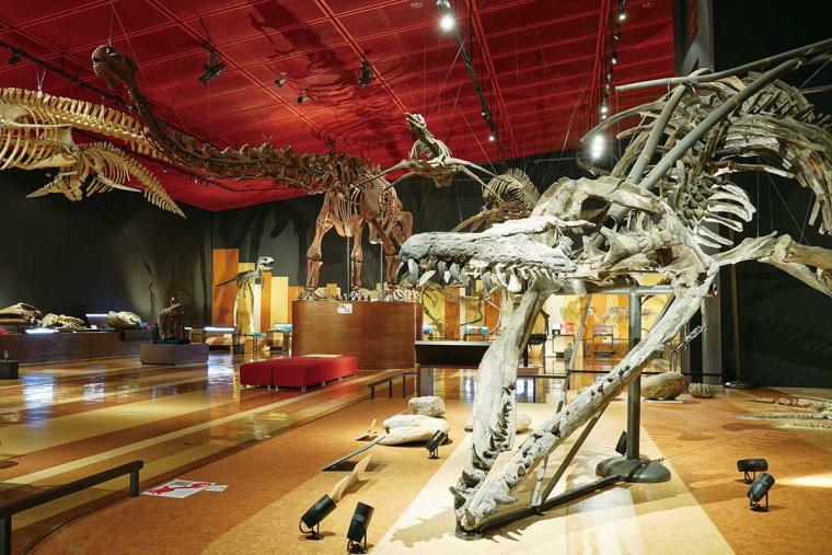 全国の恐竜博物館＆恐竜ホテル16選