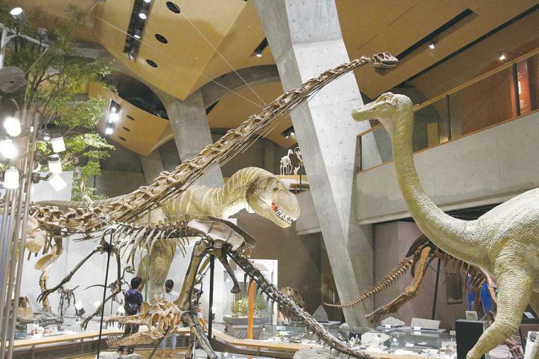 群馬県立自然史博物館