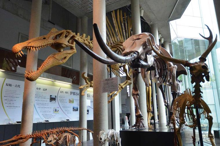 飯田市美術博物館