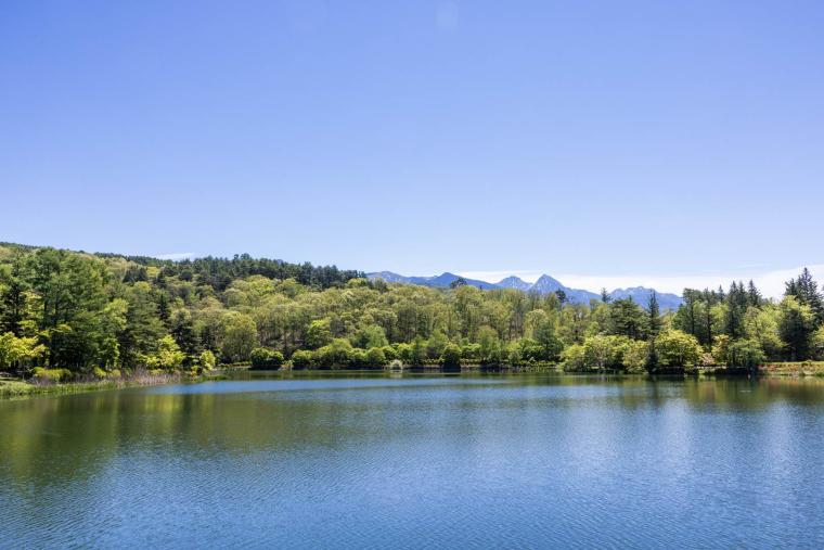 ホテル ドゥ ラルパージュ