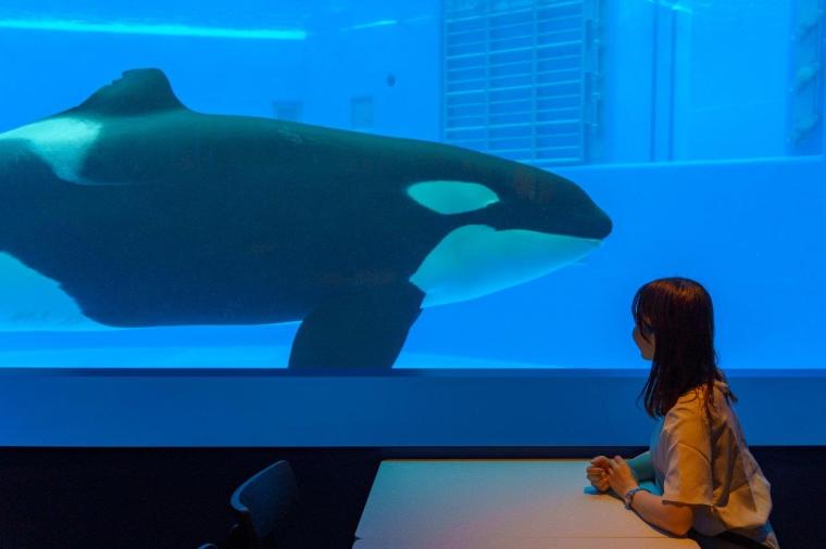 ブルーオーシャン オルカスタディアム