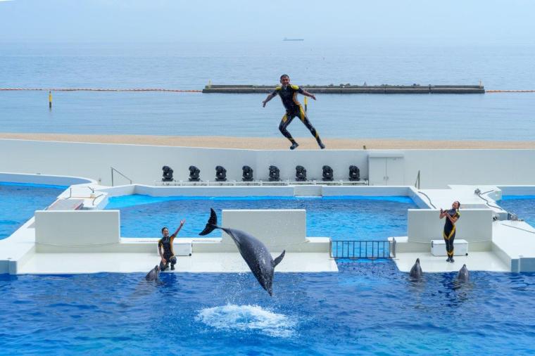 ドルフィンスタディアム