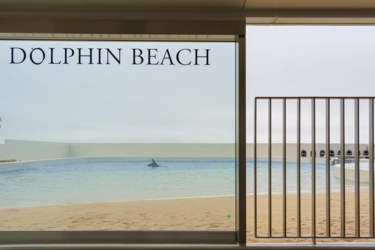 ドルフィンビーチ