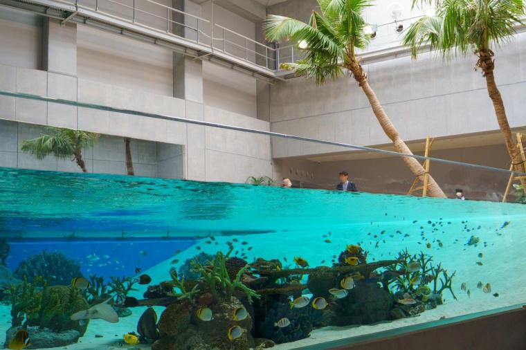 トロピカルライフ