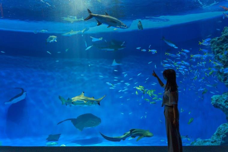 トロピカルライフ