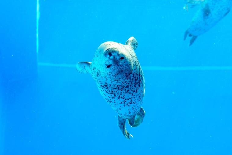 ロッキーライフ