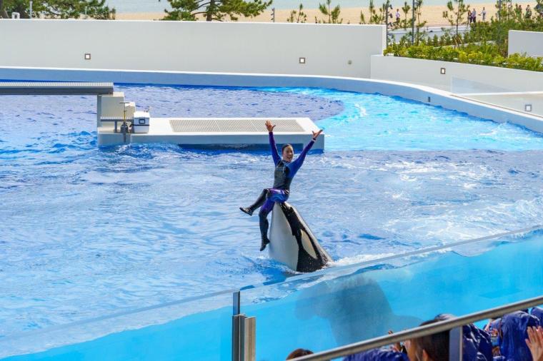 オルカスタディアム