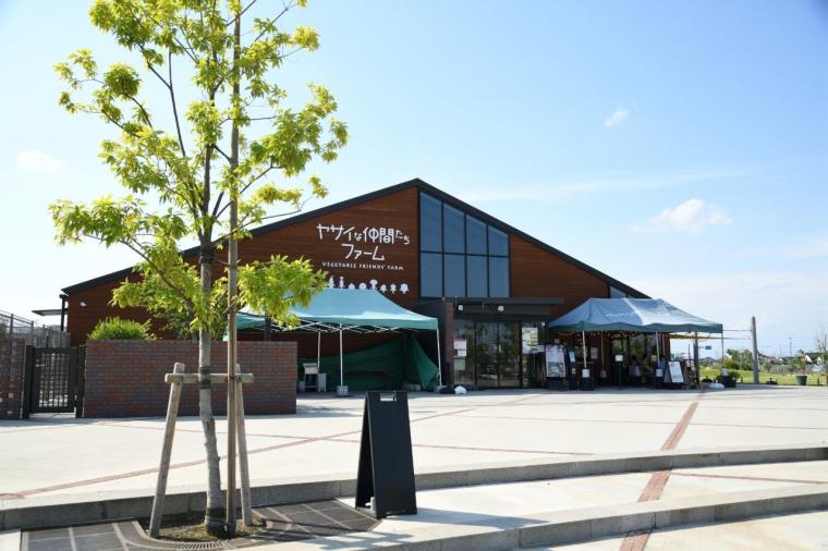 ヤサイな仲間たちファーム