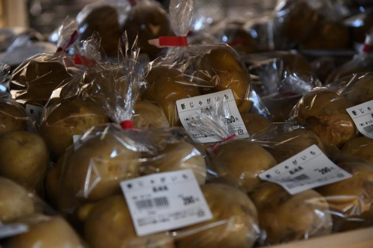 ヤサイな仲間たちファーム