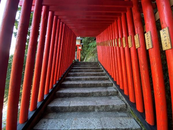 人気観光地！山陰の小京都「津和野」の観光・グルメスポットまとめ｜島根県津和野町