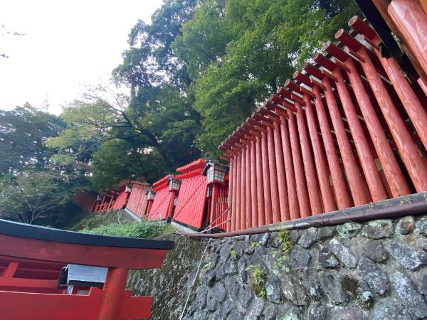 人気観光地！山陰の小京都「津和野」の観光・グルメスポットまとめ｜島根県津和野町