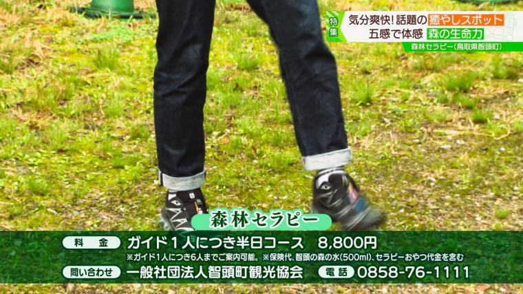 鳥取県智頭町で森林セラピー！森の爽やかな空気の中で心も体もリフレッシュ！