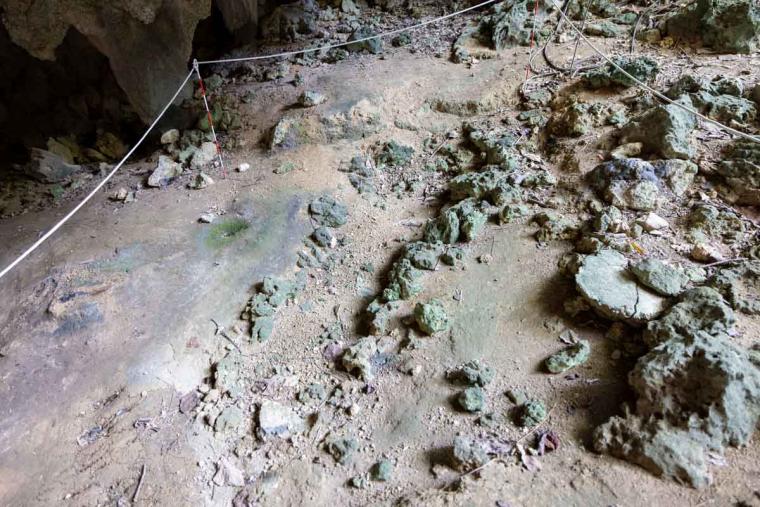 ガンガラーの谷ってどんなところ？ツアーで巡る魅力スポット特集（南城市）