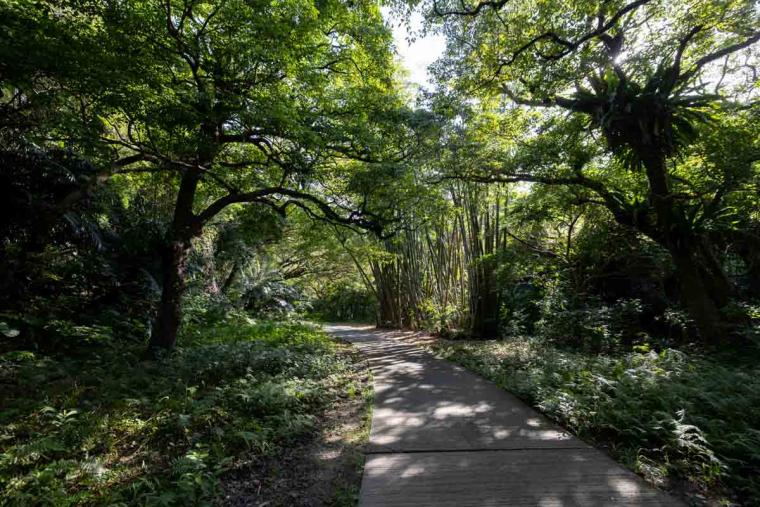 ガンガラーの谷ってどんなところ？ツアーで巡る魅力スポット特集（南城市）