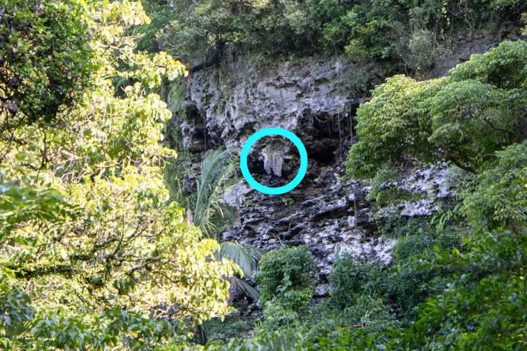 ガンガラーの谷ってどんなところ？ツアーで巡る魅力スポット特集（南城市）