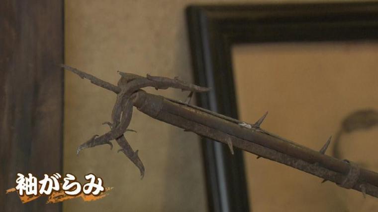 【静岡県静岡市・次郎長生家】正義の人？悪人なの？意外と知らない次郎長親分の正体がわかる！