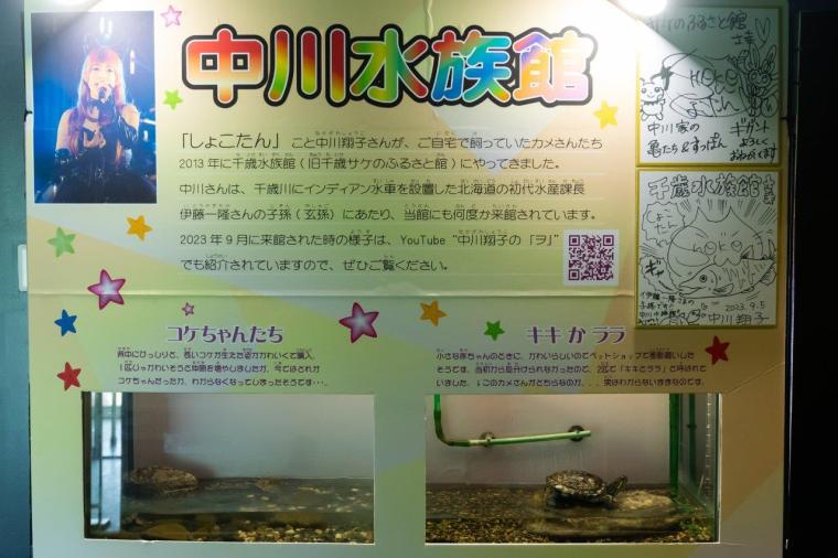 サケのふるさと 千歳水族館