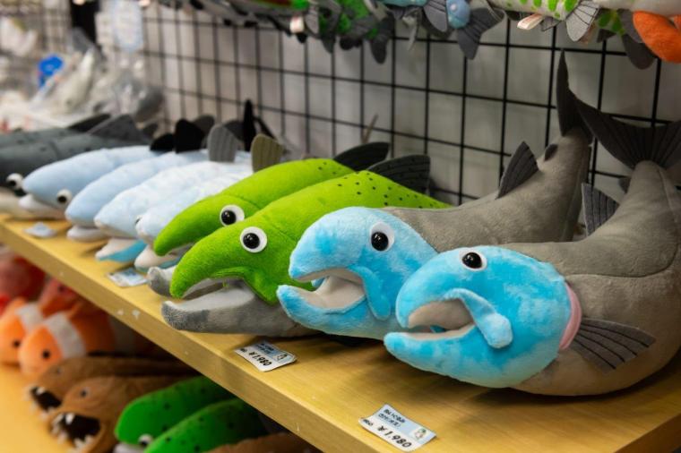 サケのふるさと 千歳水族館